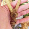 Kuripe Bambu Totem COBRA Amuleto con Pietre potenti - immagine 5